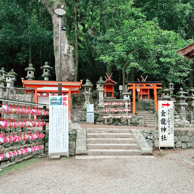 Kasuga Taisha Shrine : Nara’s Timeless Lantern Sanctuary