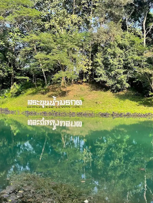 ✨ถ้ำหลวง-ขุนน้ำนางนอน🌿 ธรรมชาติสวย อากาศดีสุดๆ 💙