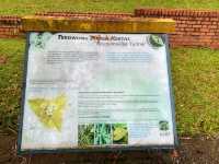 Bougainvilaa Trail Putrajaya – A Colorful Escape for Nature Lovers