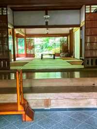 Jōchi-ji – A Hidden Zen Gem in Kamakura 🌸