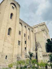 Université d’Avignon – A Journey into Learning & Heritage