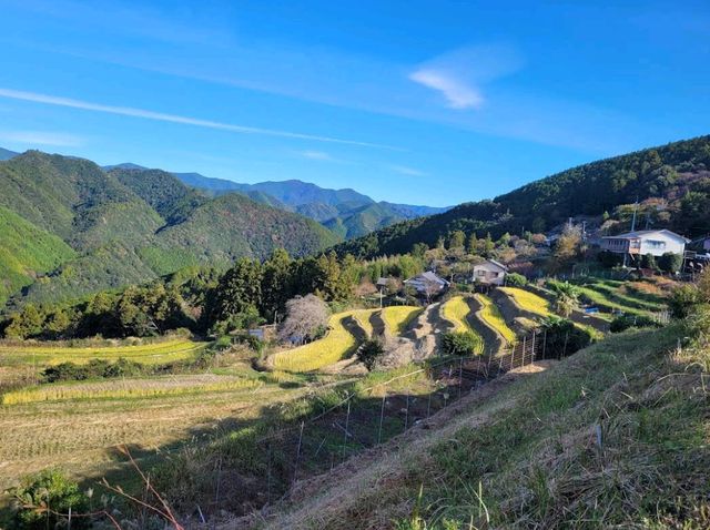 Kumano Kodo Pilgrimage Trails (Wakayama)
