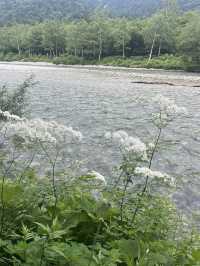 【長野の自然に癒され旅🌿】長野で絶対行きたい場所
