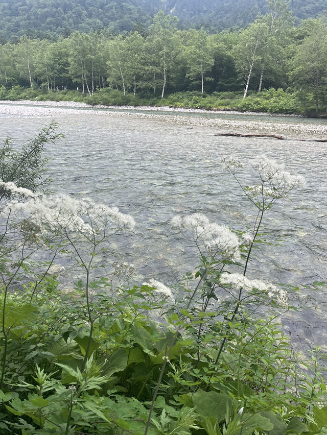 【長野の自然に癒され旅🌿】長野で絶対行きたい場所