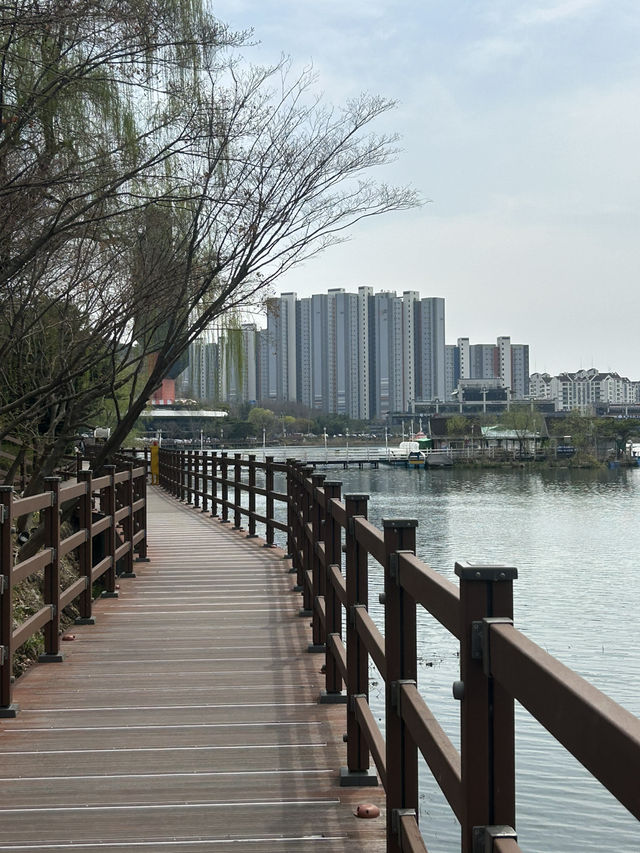 도심 속 힐링 산책, 명암저수지 🌿🦆