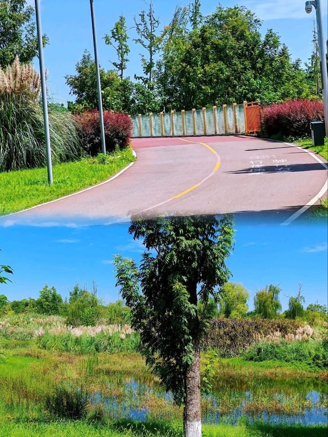 誤闖成都天府騎行綠道