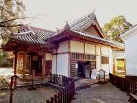 Samurai Sunsets: My Return to Obi Castle, Miyazaki