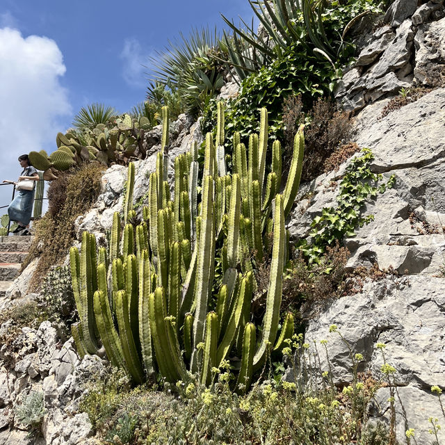 🇫🇷法國埃茲-Jardin Exotique d’Eze 🌵