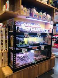 一間驚喜的精品店❤️❤️❤️