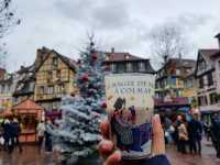 Colmar Charm✨