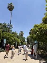 【🇲🇦モロッコ/マラケシュ】・バヒア宮殿🏰