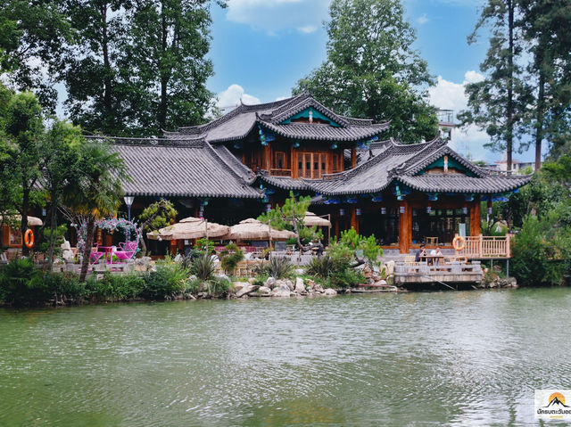 Black Dragon Pool Black Dragon Pool