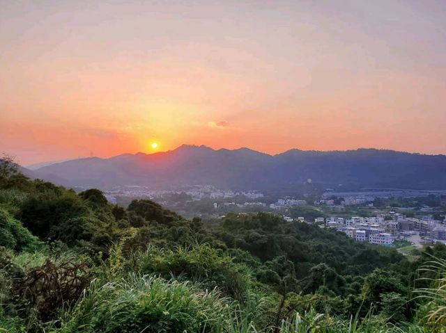 Tai Lam Country Park Tai Lam Country Park