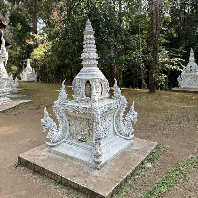 🌳 วัดหลวงขุนวิน จุดหมายปลายทางสำหรับสายสงบ