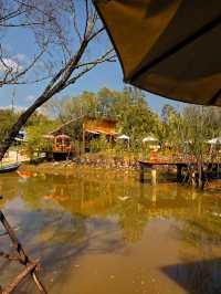 Cawon canal cafe คาเฟ่ชิคๆวิวดี เมืองแกลง ระยอง