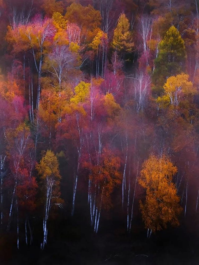 Greater Khingan Range – Daxing’anling & Arxan