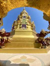 พระไม่อยากนั่งบัลลังก์ 👑 แต่ขอนั่งดิน 🪷🙏