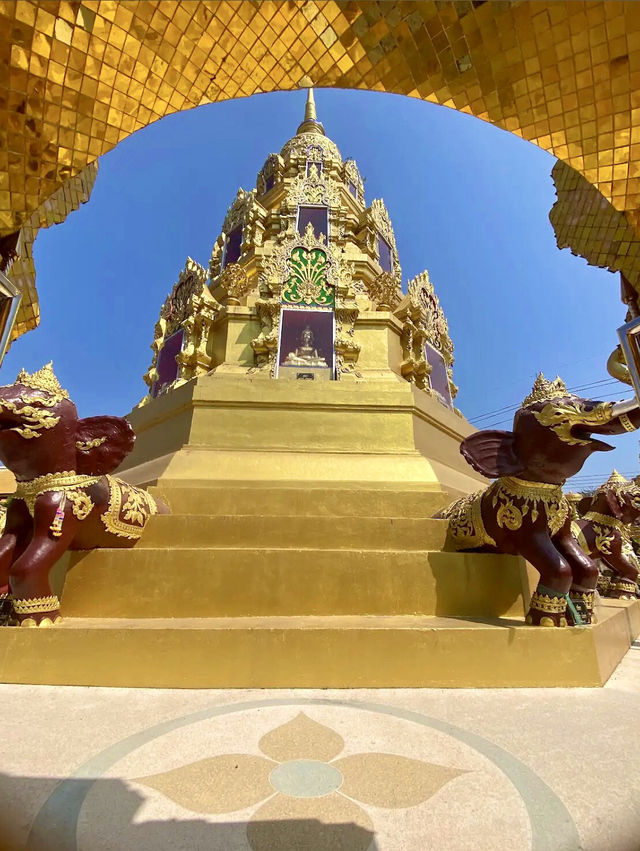พระไม่อยากนั่งบัลลังก์ 👑 แต่ขอนั่งดิน 🪷🙏