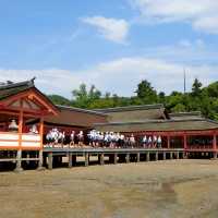 海中島居+海上神社+神之使者一在嚴島神社散策