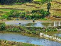 🌾🏔️ Yuanyang Hani Terraces — A Living Symphony of Earth, Water, and Humanity