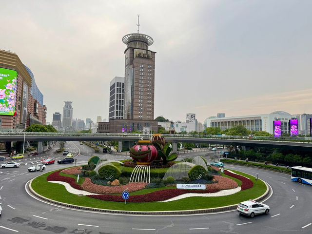 @ 𝙇𝙪𝙟𝙞𝙖𝙯𝙪𝙞, Shanghai  🏙️🇨🇳