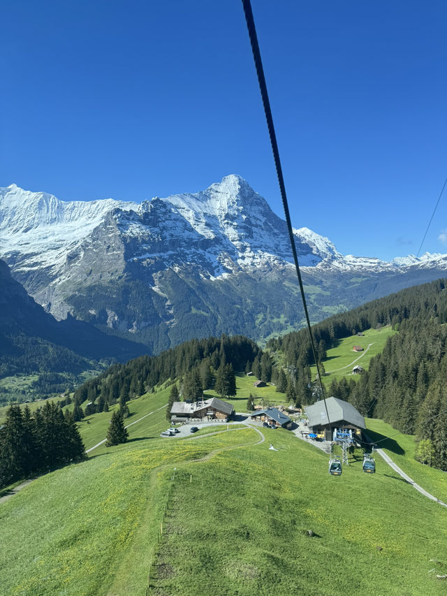 First Cliff Walk - Grindelwald🏔️