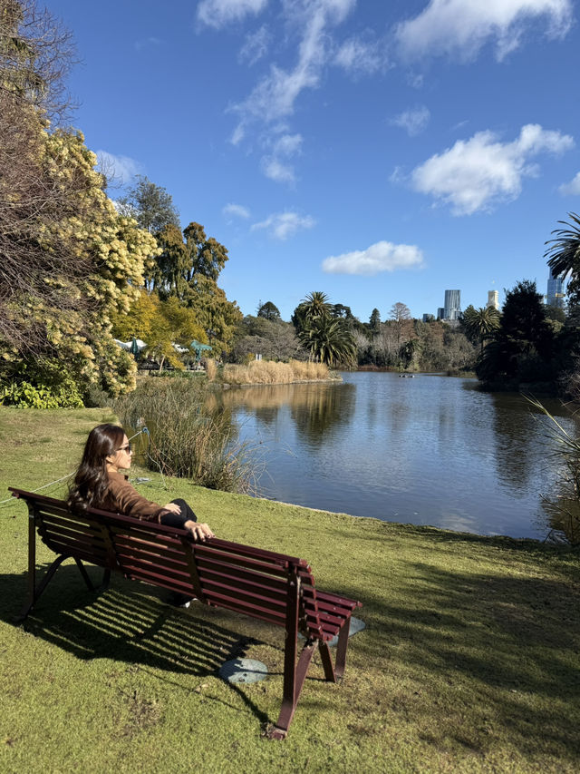 Historic Heart🏛️ Shrine of remembrance 