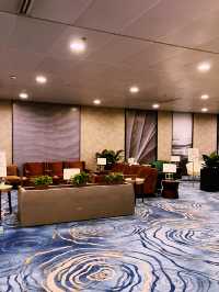 Changi Airport: World-Class Haven of Greenery and Comfort