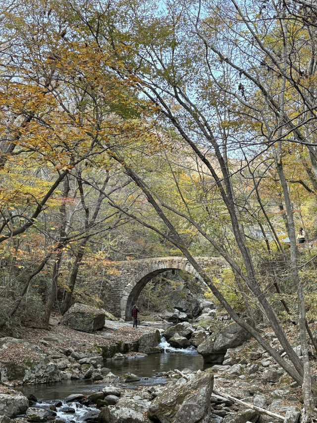 가을 여행 끝판왕 순천