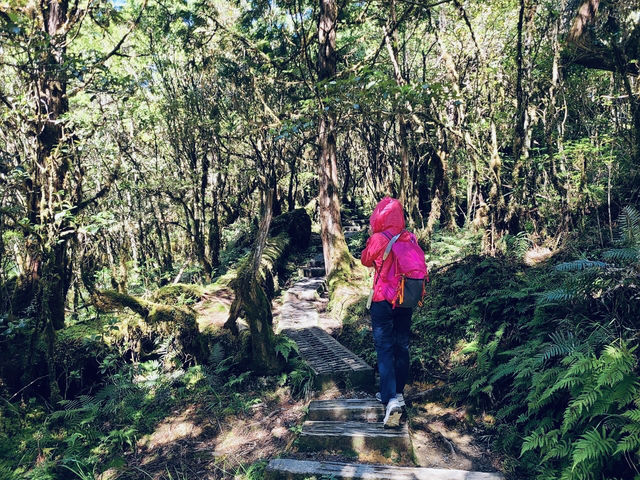 薄霧中的藍寶石——翠峰湖與望洋山漫步記