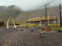 Stepping Back in Time at the Viking Village