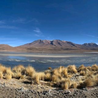 수드 리페즈의 초현실적인 풍경 속으로의 모험