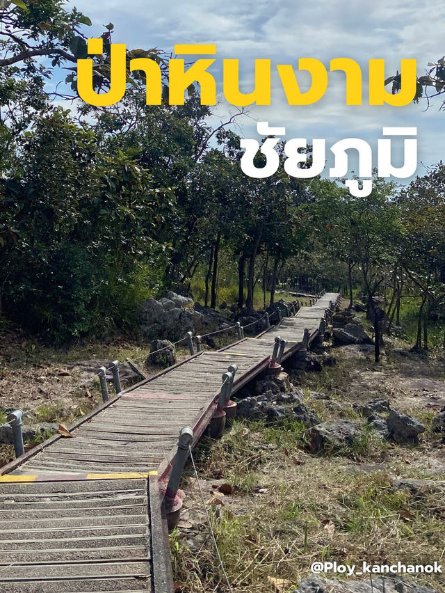 ชมป่าหินงาม รับลมหยาว  ‘ชัยภูมิ‘