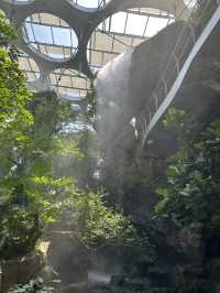 在上海城市裡的祕密仙境 🌈🌺 