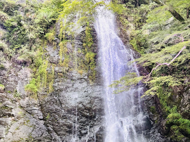 Osaka Day Trip: Mountain Temple & Waterfall Escape! ⛰️💦
