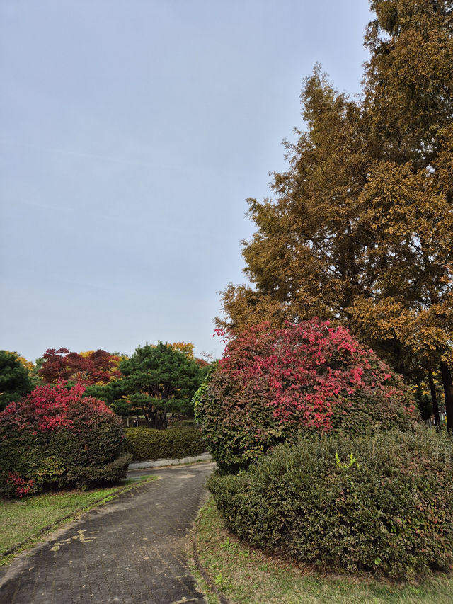 ๐ฟ ์์ ํจ์๊ณต์, ํ ํผ์ด๋ฆฌ์์ด ๋ง๋๋ ํน๋ณํ ์ฐ์ฑ
๊ธธ ๐ฆ ๐ฟ ์์ ํจ์๊ณต์, ํ ํผ์ด๋ฆฌ์์ด ๋ง๋๋ ํน๋ณํ ์ฐ์ฑ
๊ธธ ๐ฆ