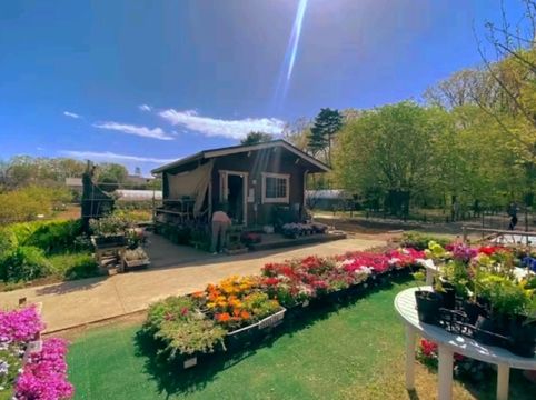 Discovering Nature’s Pharmacy at Tokyo Medicinal Plant Garden 🌿 Discovering Nature’s Pharmacy at Tokyo Medicinal Plant Garden 🌿