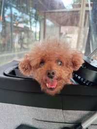 南投旅遊目前最熱門的打卡景點！走過日月潭、路過日月潭都不要錯過［Feeling18LAB烘焙所］