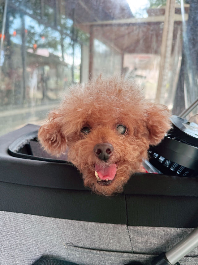 南投旅遊目前最熱門的打卡景點！走過日月潭、路過日月潭都不要錯過［Feeling18LAB烘焙所］