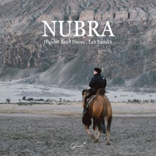 ハンダー砂丘、ヌブラ渓谷 - レー・ラダック 🇮🇳