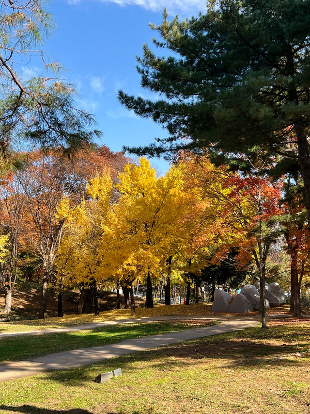 🌳올림픽공원 산책길