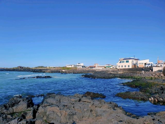 푸른 바다와 산이 어우러진 곳 📍제주도 푸른 바다와 산이 어우러진 곳 📍제주도