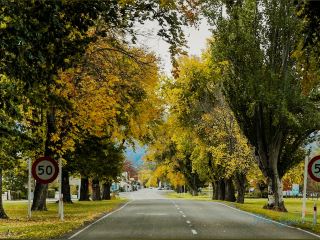 Alpine Gateway & Country Grace