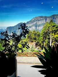 Alishan Forest Art Gallery – A Calm Cultural Stop at the Bus Transport Hub