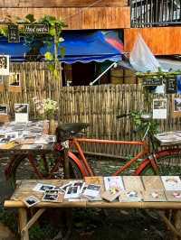 🐾 รีวิวร้าน “แมวดอยแกลเลอรี่”