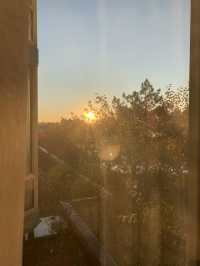 芝加哥機場旁轉機住宿！Sheraton Suites體驗