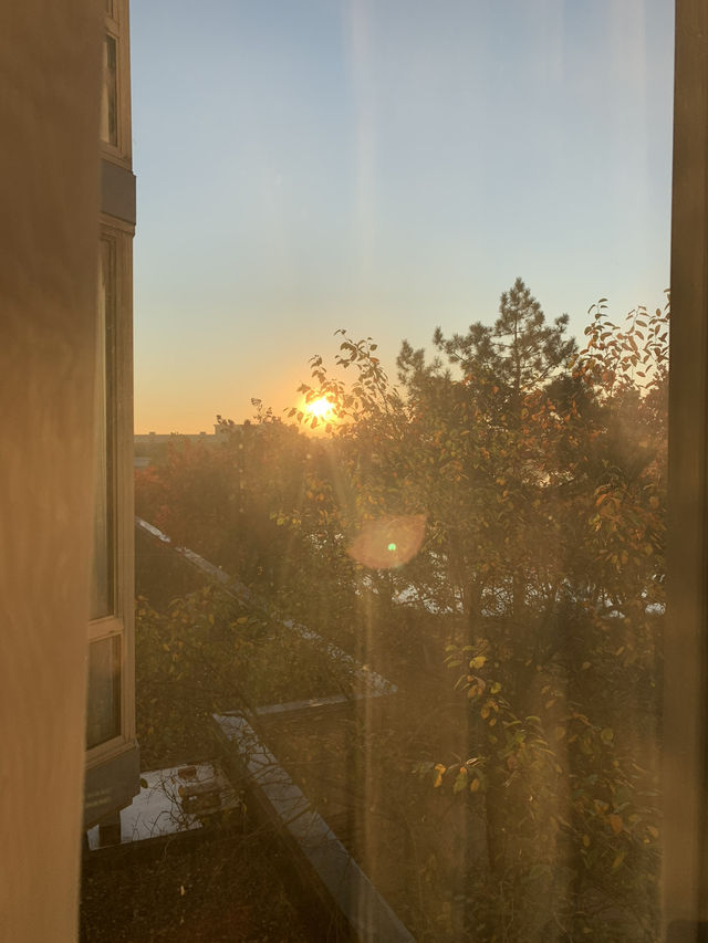 芝加哥機場旁轉機住宿！Sheraton Suites體驗