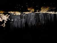 地下星河/懷託摩螢火蟲洞