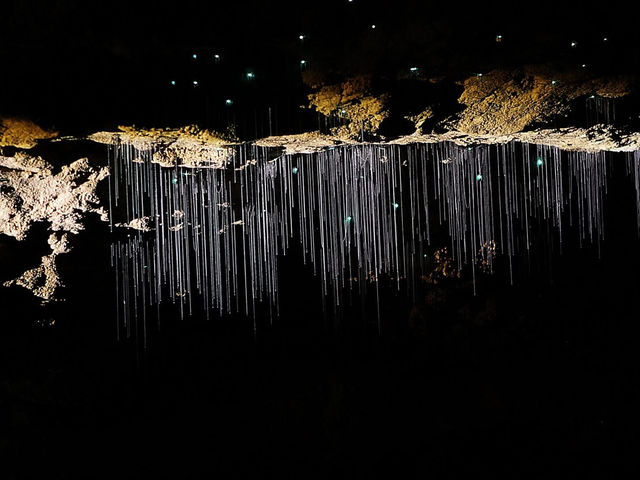 地下星河/懷託摩螢火蟲洞