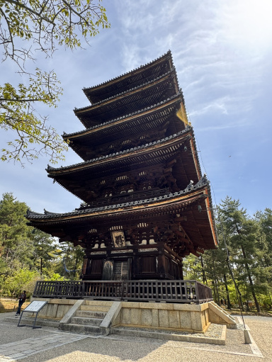御室桜で有名な世界遺産 仁和寺 | Trip.com 京都